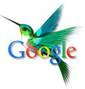 google-hummingbird