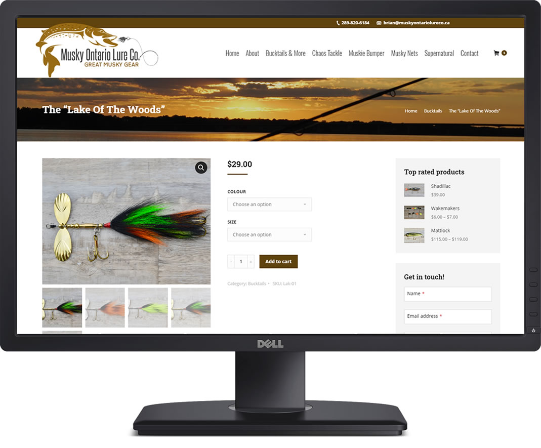 e-commerce niagara web design